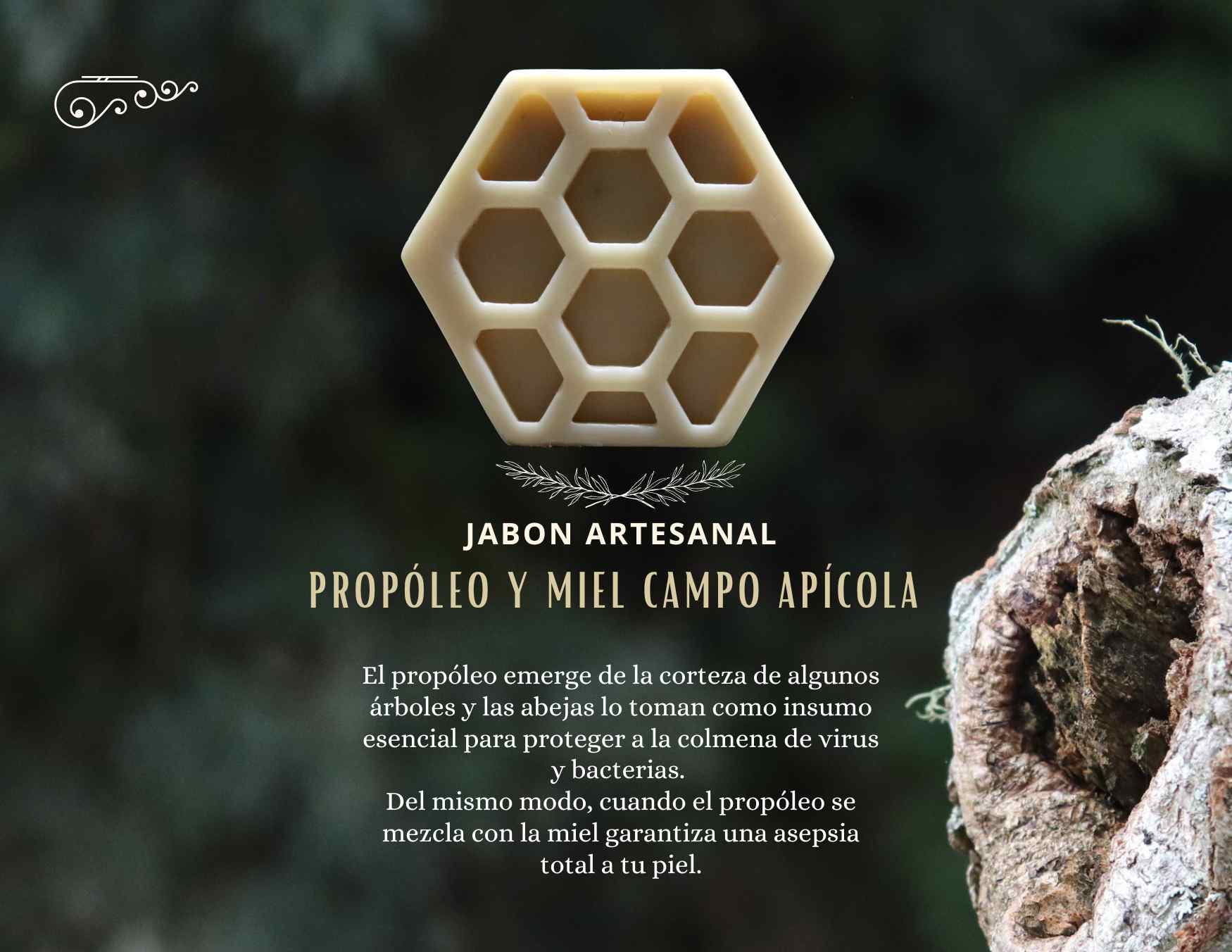 Jabón 2