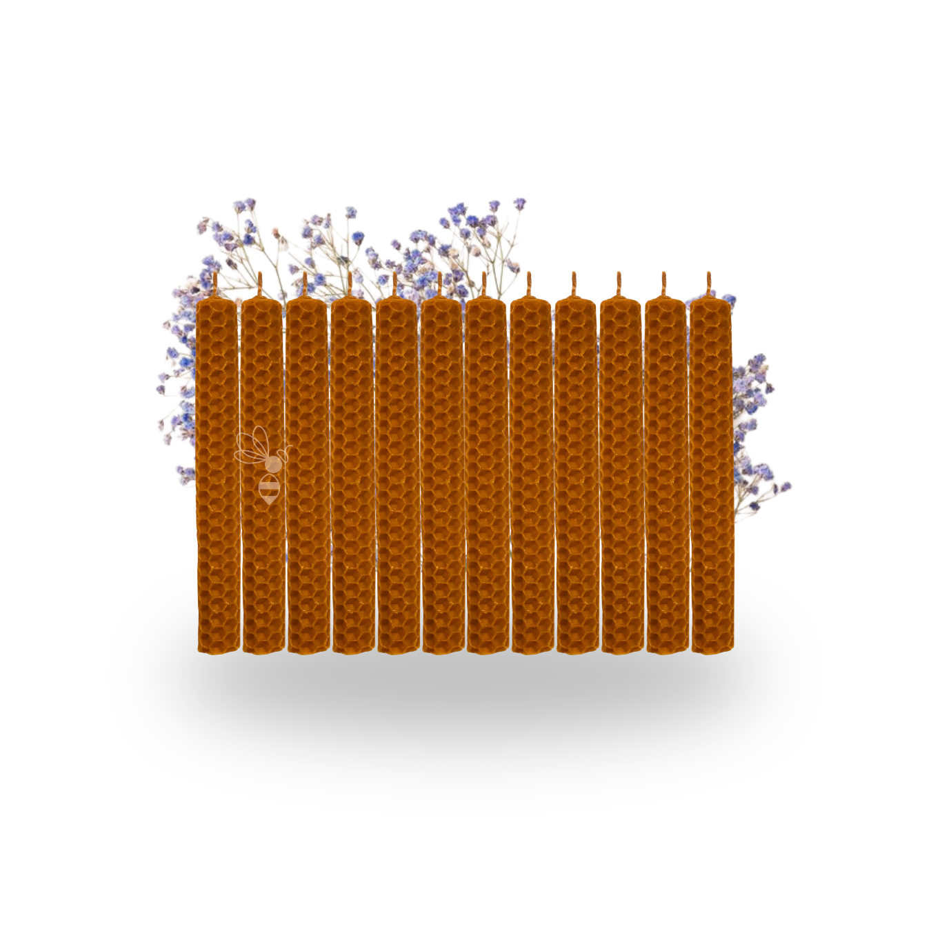 6. VELAS X 153CM X 12U
